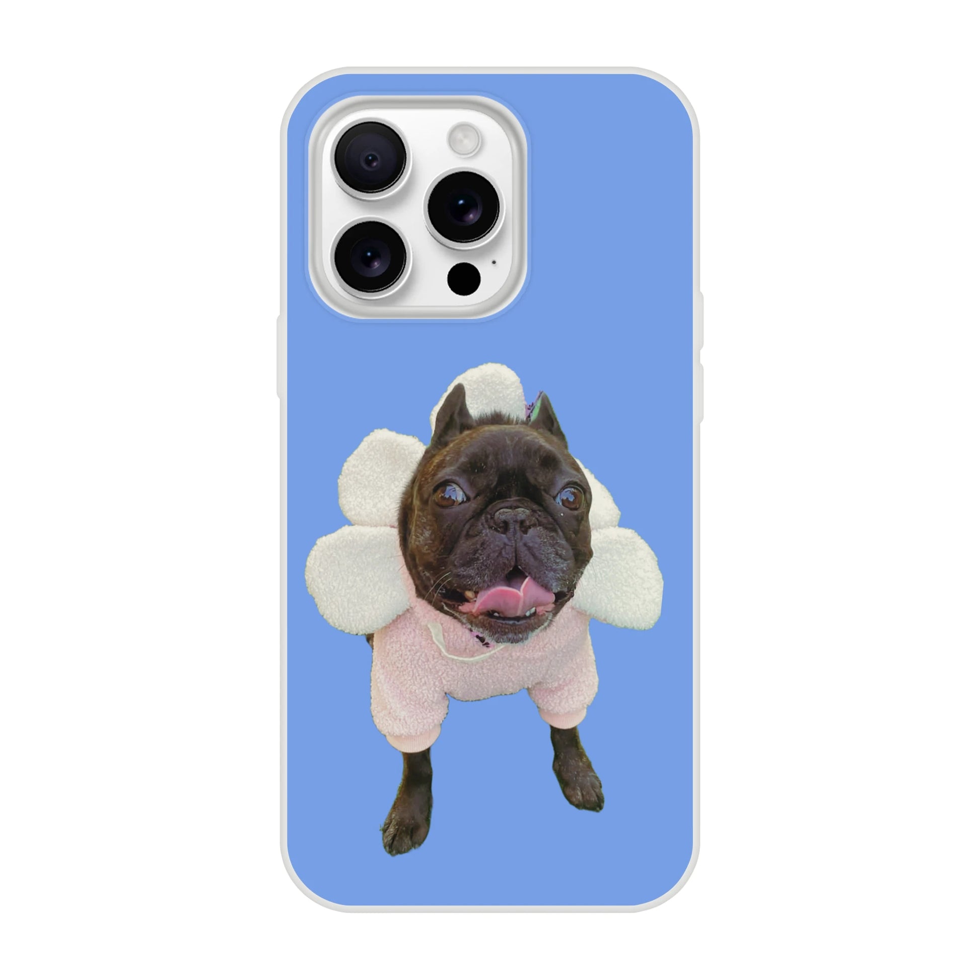 Custom Dog iPhone Case–Pet Photo Personalized Color Background Design